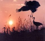 补充-The Nature of Scientific Reasoning-LiBo